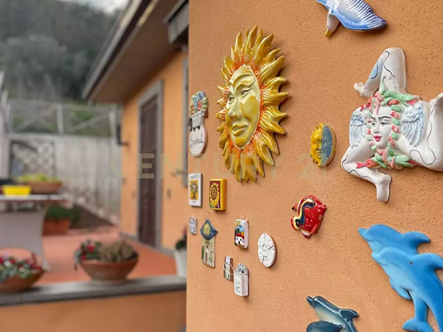 Immagine 19 di Villa in vendita  in Strada Vicinale del Grottino a Monte Argentario