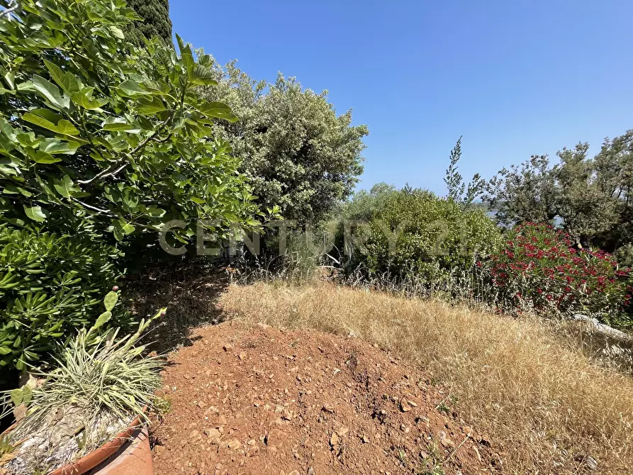 Immagine 19 di Rustico / casale in vendita  in località cannatelli snc a Monte Argentario