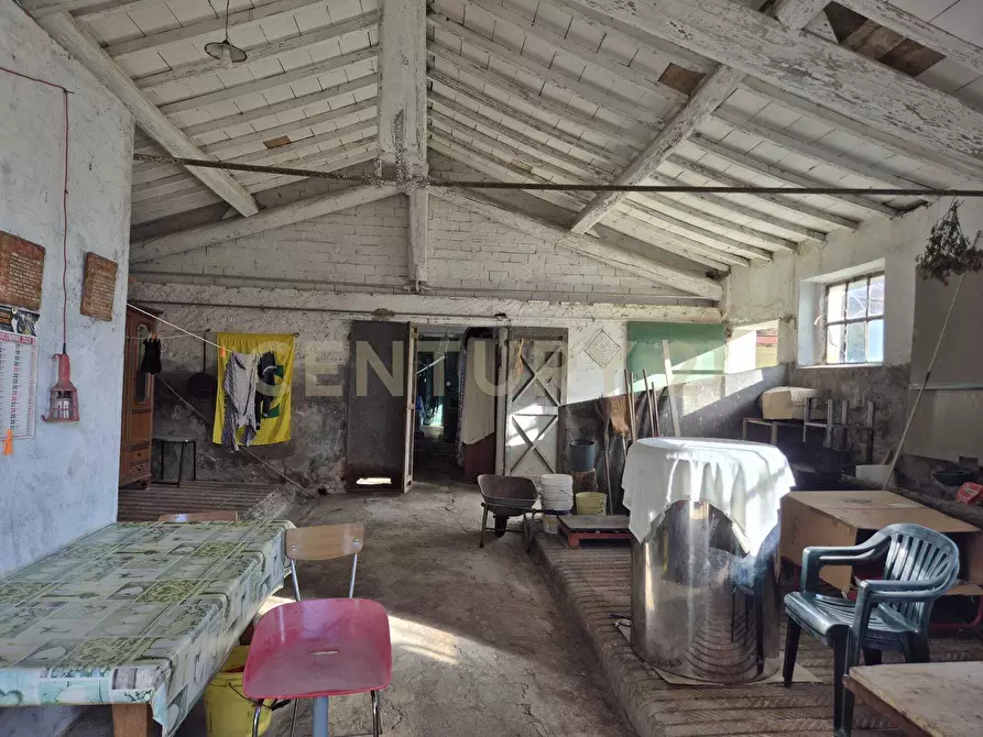 Immagine 21 di Rustico / casale in vendita  in località aratrice a Civitella Paganico