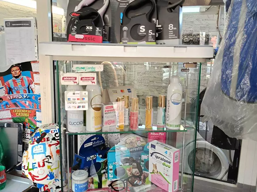 Immagine 6 di Attività artigianale in vendita  a Catania