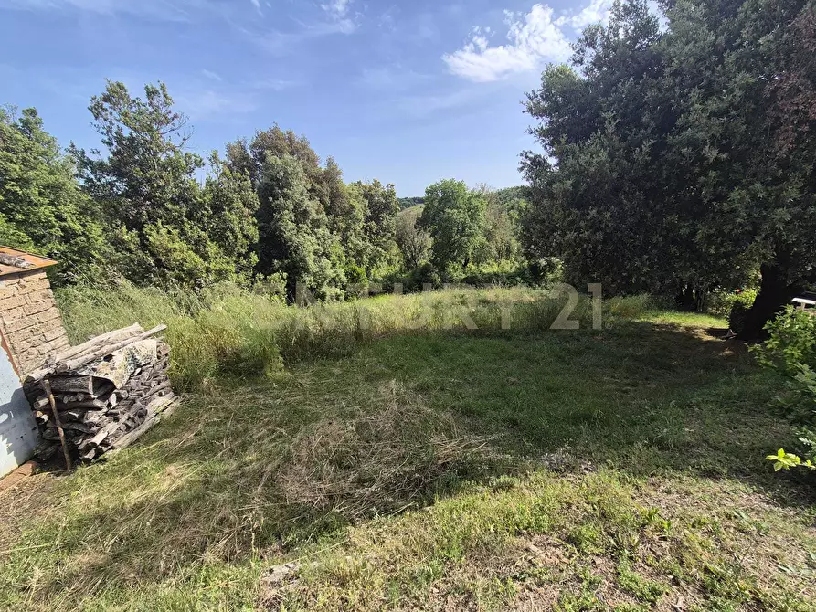 Immagine 28 di Casa bifamiliare in vendita  in località ripoli a Civitella Paganico