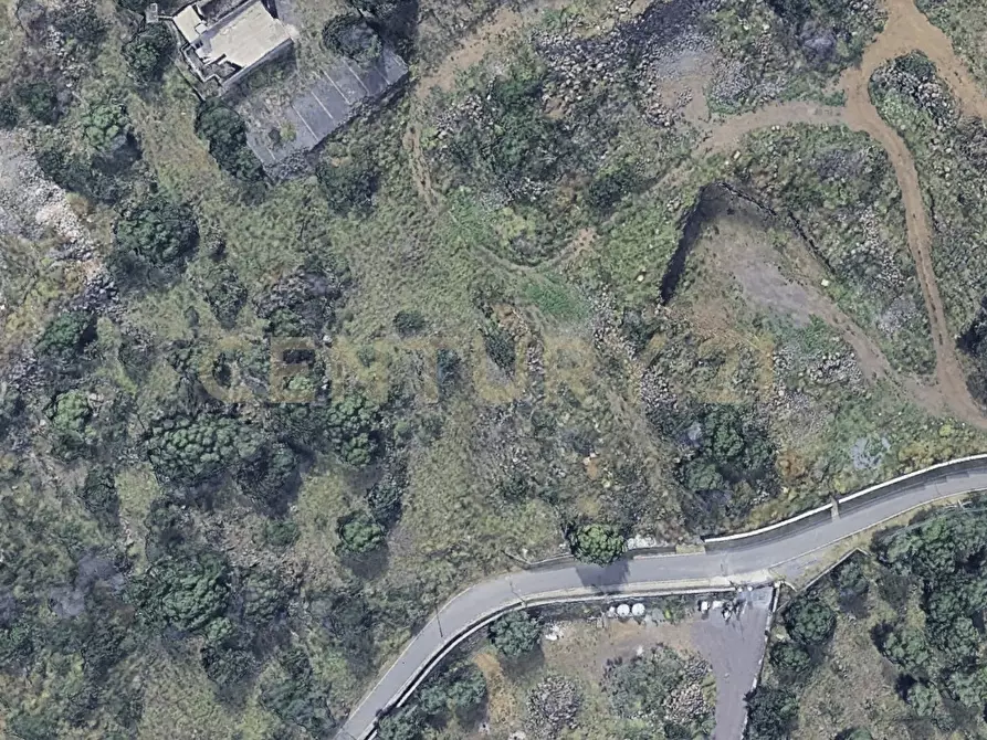 Immagine 3 di Terreno agricolo in vendita  in Via San Antonio 2 a Camporotondo Etneo