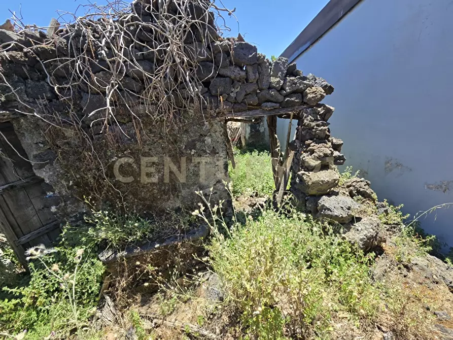Immagine 16 di Terreno agricolo in vendita  in Vico Agatino De Marco a Gravina Di Catania