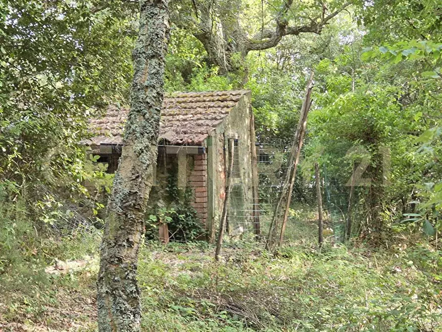 Immagine 7 di Rustico / casale in vendita  in località vignaccia a Civitella Paganico