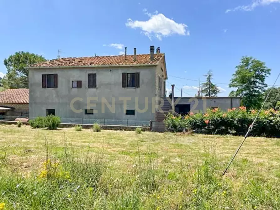 Immagine 7 di Casa indipendente in vendita  in località podere poggio sellino snc a Semproniano