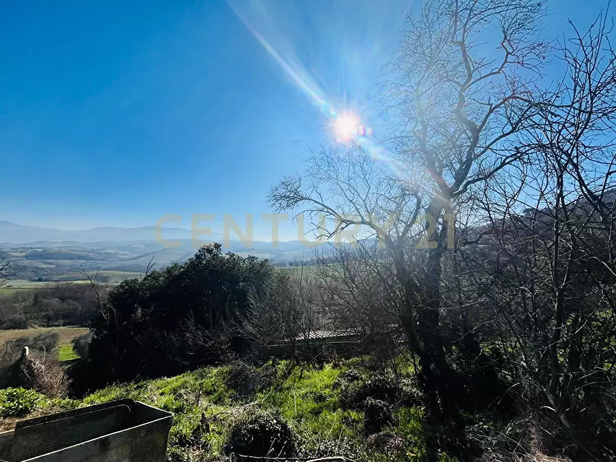 Immagine 11 di Casa bifamiliare in vendita  in località podere pelacane snc a Cinigiano
