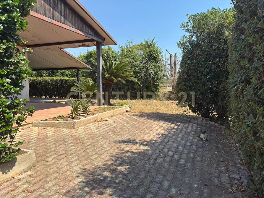Immagine 4 di Villa in vendita  in Via Blanco 4 a Siracusa