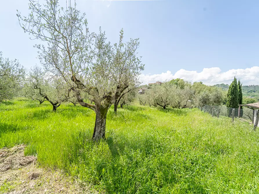 Immagine 25 di Villa in vendita  in Via Colle Sant'Angelo 36 a Serrone
