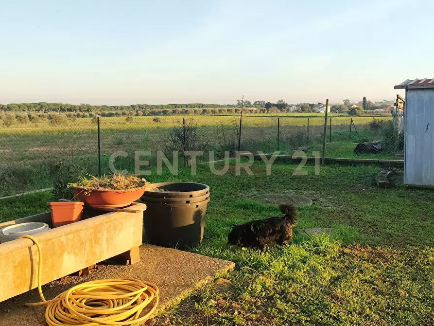 Immagine 5 di Rustico / casale in vendita  in Strada Pedemontana a Capalbio
