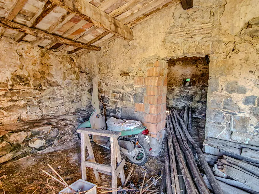 Immagine 23 di Rustico / casale in vendita  in località case cinigliano a Roccastrada