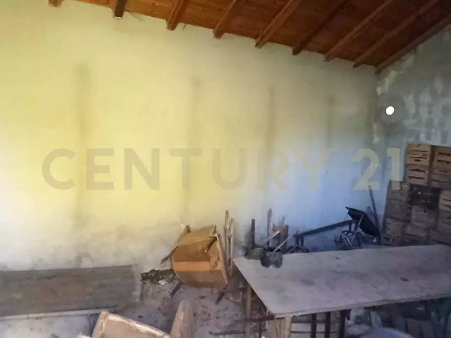 Immagine 12 di Terreno agricolo in vendita  in C.da Filiciusa a Biancavilla