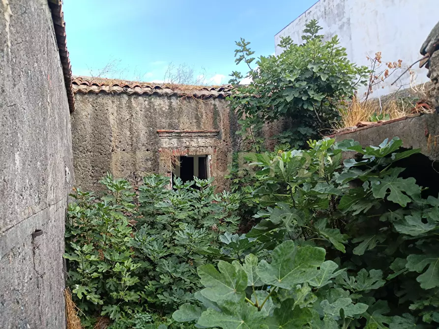 Immagine 6 di Terreno edificabile in vendita  in Via II Traversa 71 a Belpasso