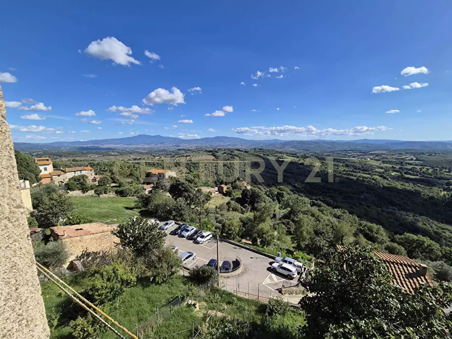 Immagine 21 di Appartamento in vendita  in Via del Borgo 25 a Civitella Paganico