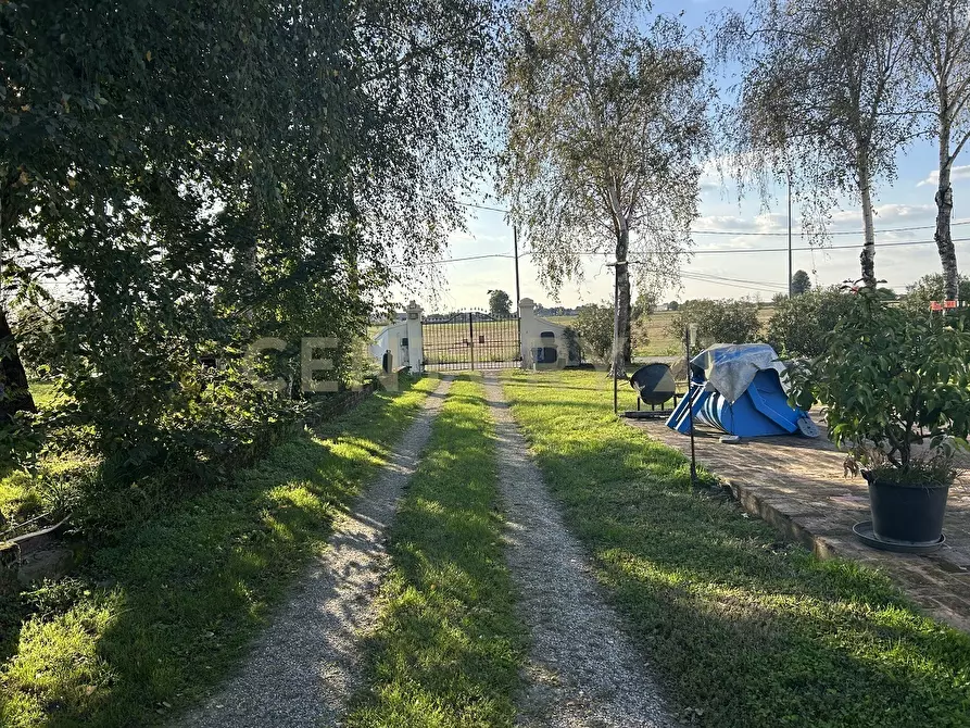 Immagine 56 di Rustico / casale in vendita  in Via Trento 70 a Minerbe