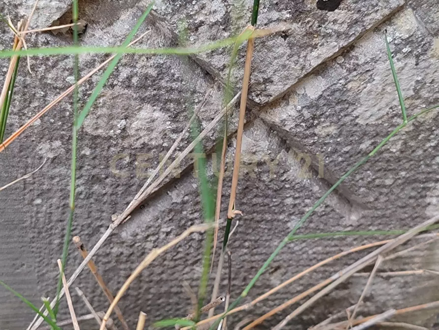 Immagine 4 di Rustico / casale in vendita  in SS115, km 323 a Ragusa