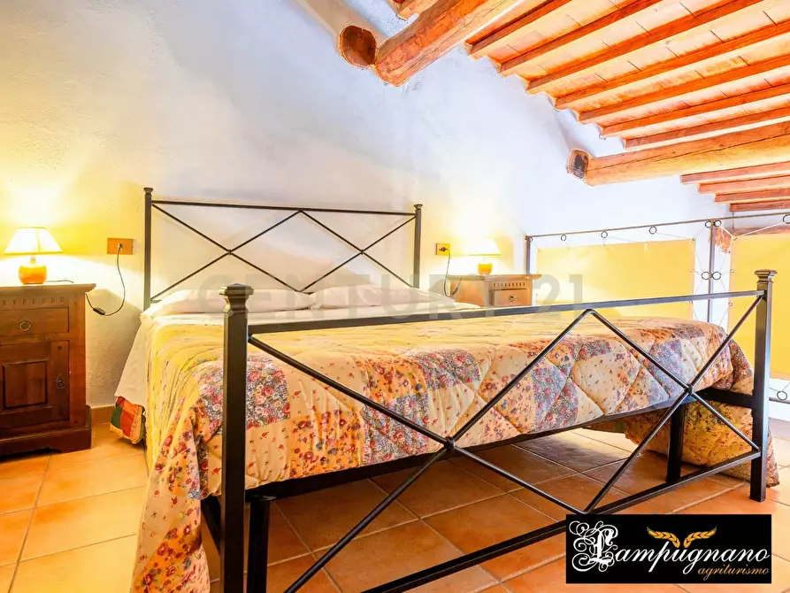 Immagine 42 di Rustico / casale in vendita  in agriturismo lampugnano 47 a Civitella Paganico