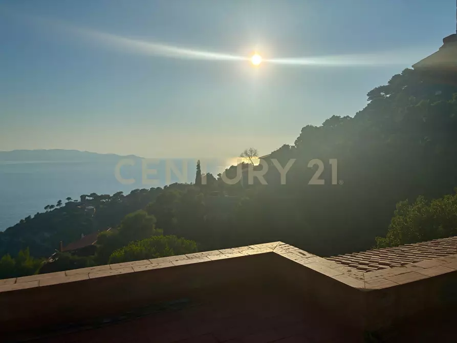 Immagine 10 di Bilocale in vendita  in località cala piccola a Monte Argentario