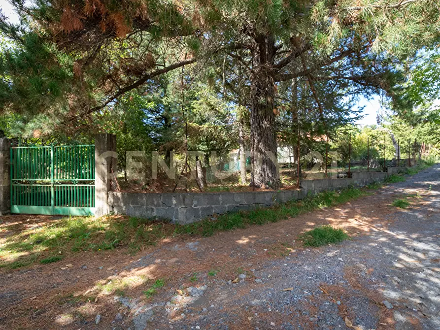 Immagine 55 di Villa in vendita  in Contrada Scolaro Cisterna a Adrano