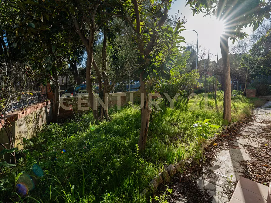 Immagine 9 di Villa in vendita  in Via Fratelli Bandiera a Grosseto