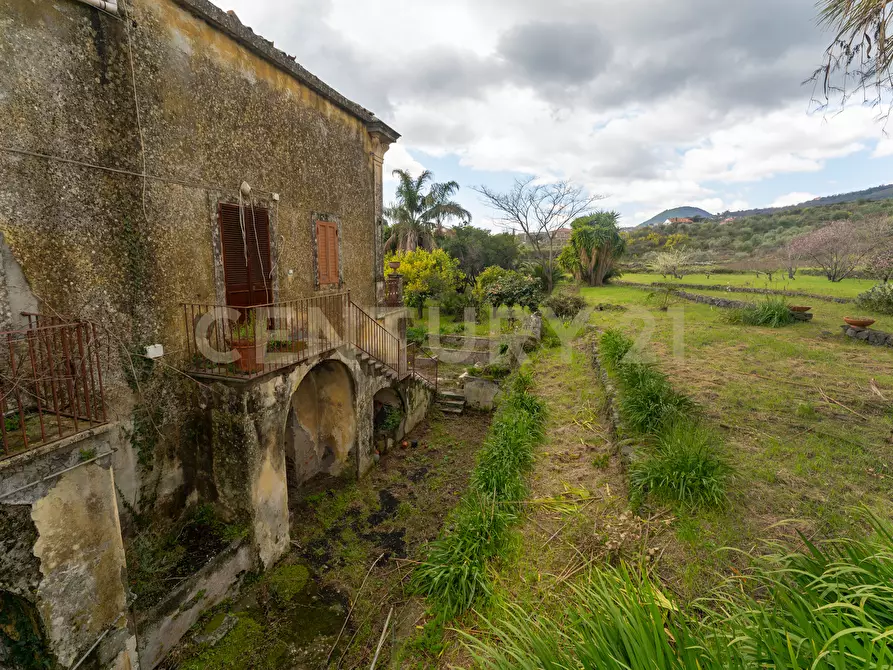 Immagine 51 di Casa indipendente in vendita  in Via Armando Diaz 83 a Zafferana Etnea