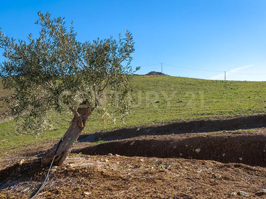 Immagine 17 di Villa in vendita  in Strada Provinciale 23b a Centuripe