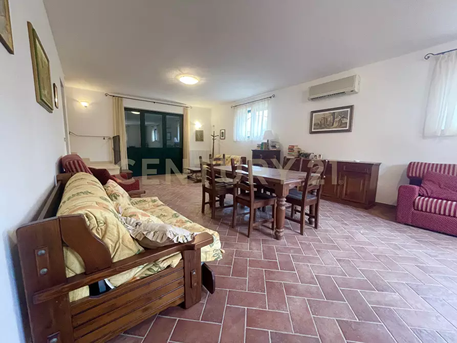 Immagine 12 di Azienda agricola in vendita  in località colle di lupo a Magliano In Toscana