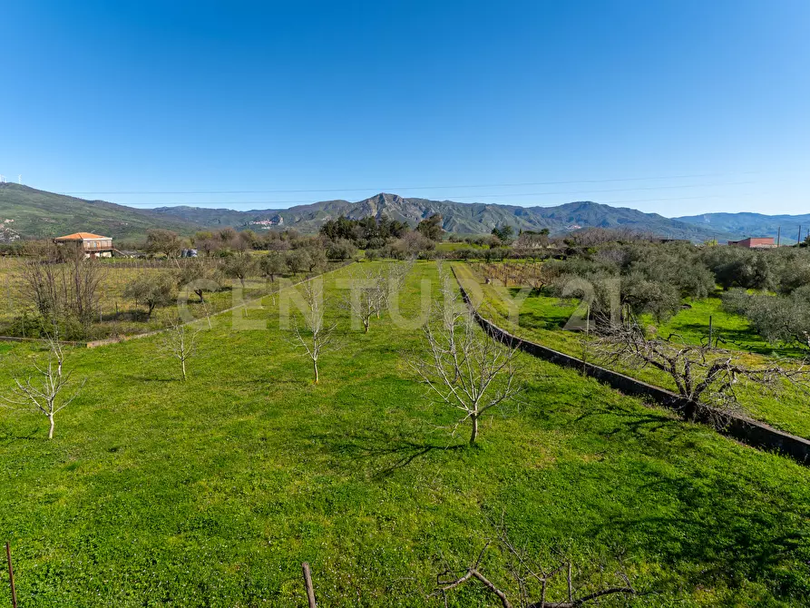 Immagine 40 di Villa in vendita  in Strada Comunale Calderara 5 a Randazzo