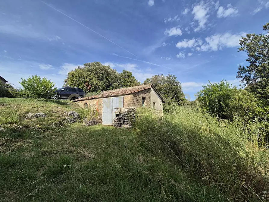 Immagine 35 di Casa bifamiliare in vendita  in località ripoli a Civitella Paganico