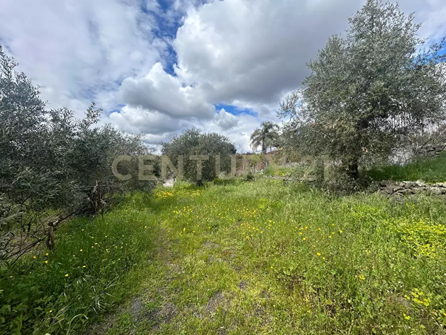 Immagine 9 di Terreno edificabile in vendita  in Viale Giovanni Falcone 9 a Camporotondo Etneo