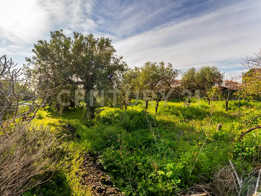 Immagine 5 di Casa indipendente in vendita  in Via Nazionale 155 a Aci Castello