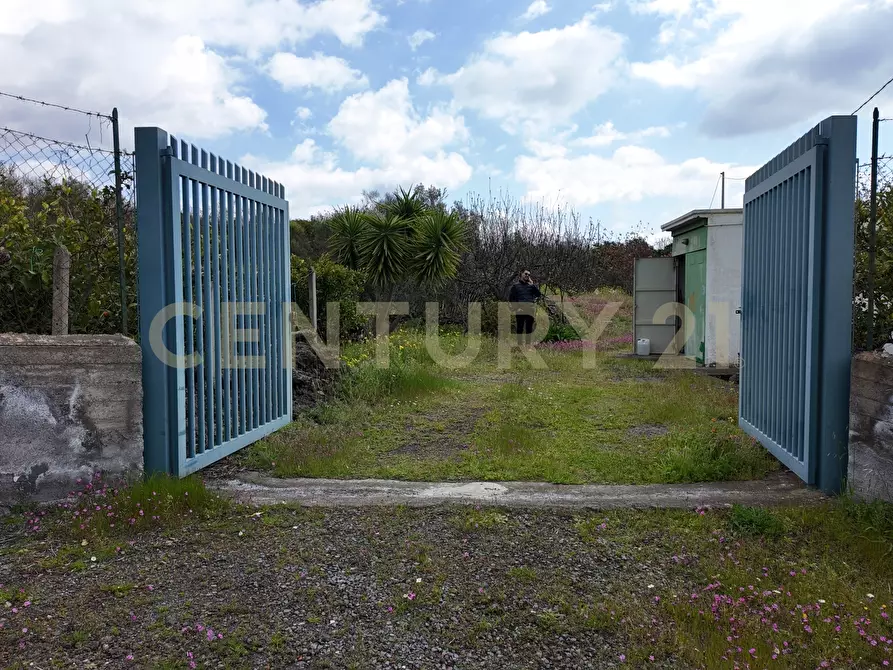Immagine 19 di Terreno agricolo in vendita  in Contrada malvezzaro a Santa Maria Di Licodia
