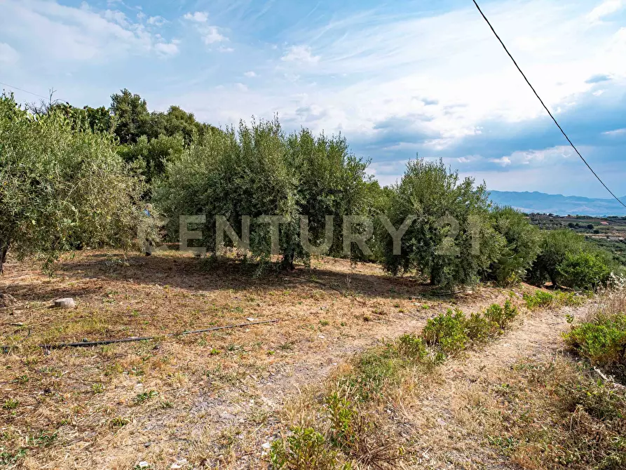 Immagine 57 di Terreno agricolo in vendita  in Via San Leo a Adrano