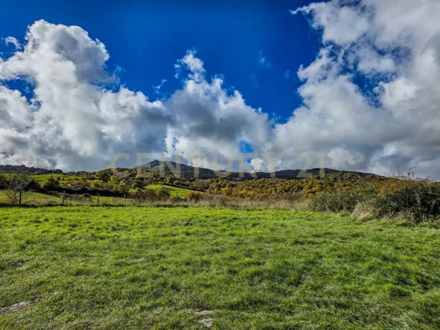 Immagine 17 di Rustico / casale in vendita  in monte labbro a Arcidosso