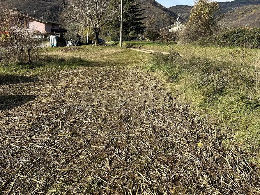 Immagine 5 di Terreno edificabile in vendita  in Via Don Giovanni Calabria a Tregnago