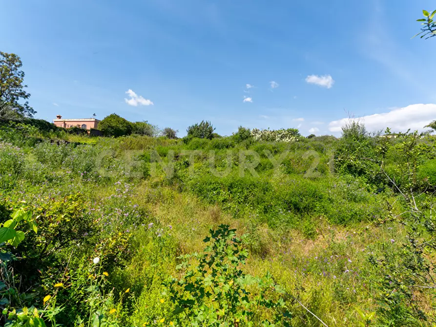 Immagine 21 di Villa in vendita  in Via Nino Martoglio S.N. a Aci Castello