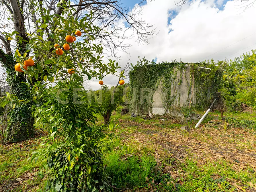 Immagine 18 di Terreno agricolo in vendita  in via giuseppe zinghirino 1 a Giarre