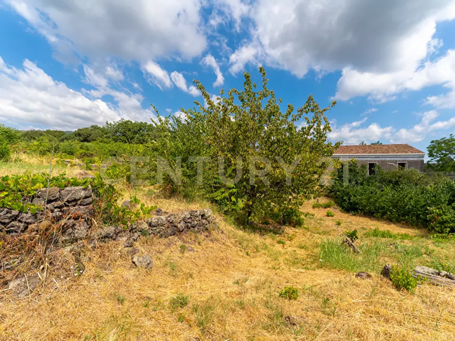 Immagine 34 di Villa in vendita  in Via Grazia Deledda 28 a Santa Venerina