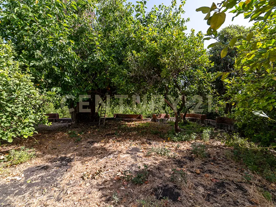 Immagine 32 di Villa in vendita  in Strada 9 Praiola 14 a Riposto