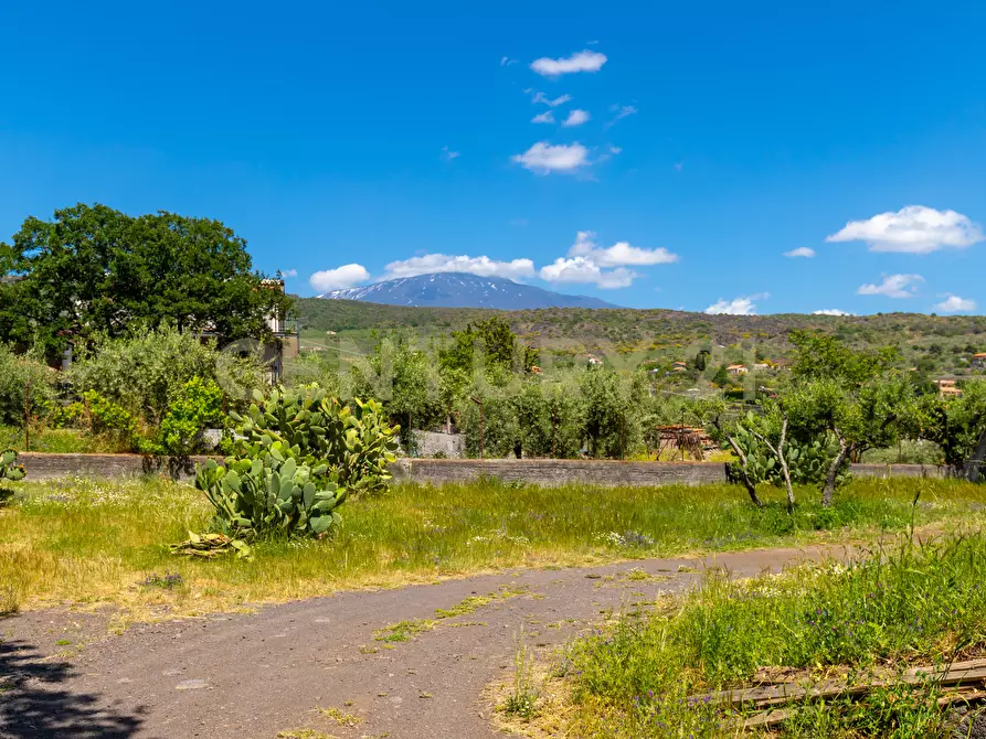 Immagine 9 di Villa in vendita  in SS284 a Adrano