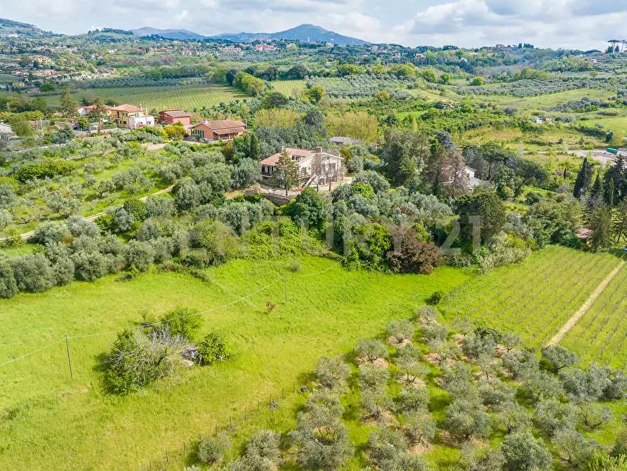 Immagine 16 di Casa indipendente in vendita  in Via di Grotte Maria 67 a Frascati