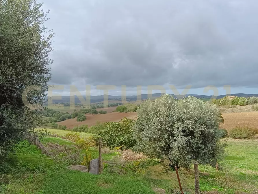 Immagine 11 di Casa indipendente in vendita  in località le croste snc a Manciano