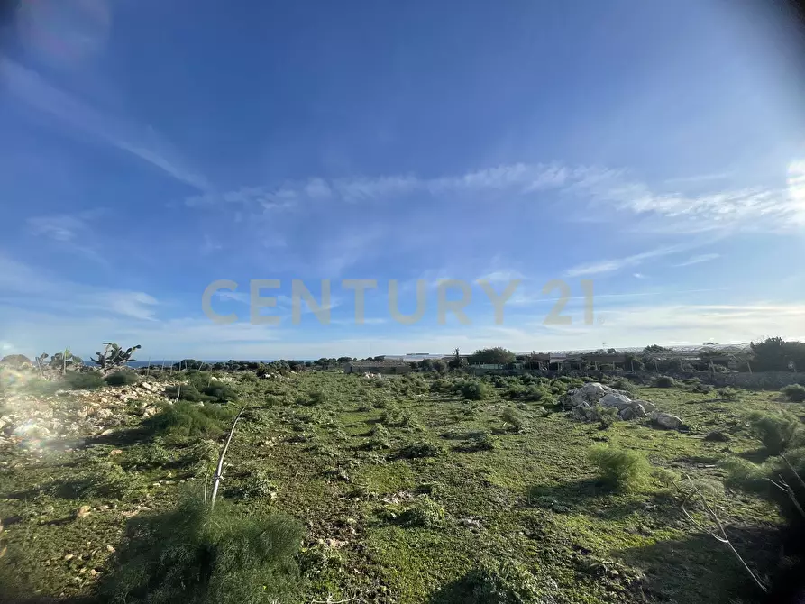 Immagine 6 di Terreno agricolo in vendita  in CONTRADA CORRIDORE CAMPANA SNC a Portopalo Di Capo Passero