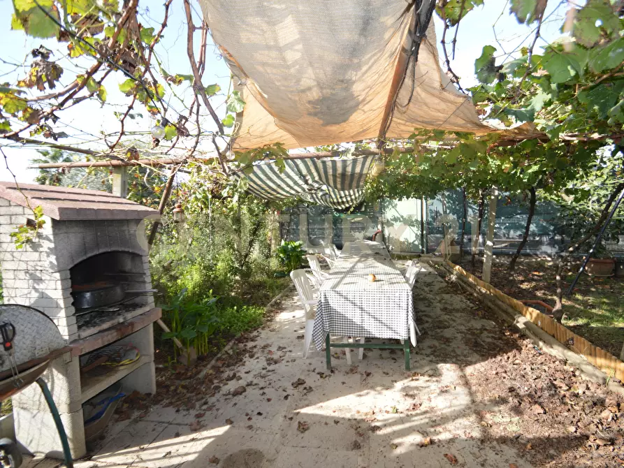 Immagine 2 di Terreno agricolo in vendita  in Via Alberto Sordi 12 a Grosseto