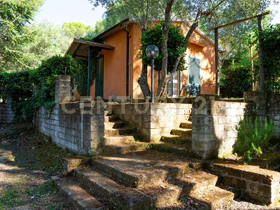 Immagine 41 di Rustico / casale in vendita  a Cinigiano
