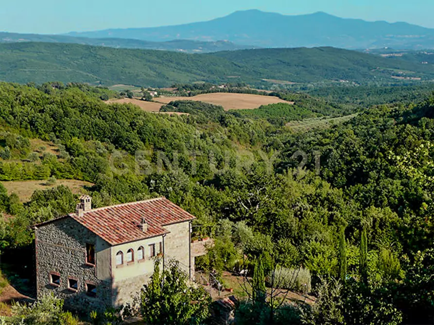 Immagine 1 di Rustico / casale in vendita  in Via di Bagnolo 1 a Civitella Paganico