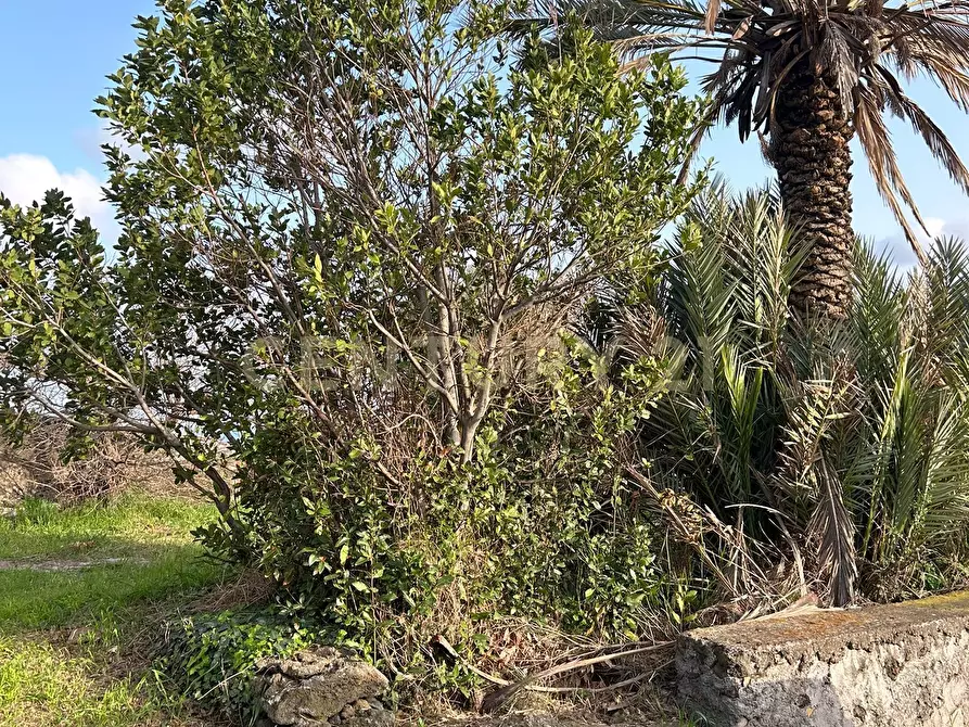 Immagine 10 di Terreno agricolo in vendita  in Via Giovanni Verga 1/A a Misterbianco
