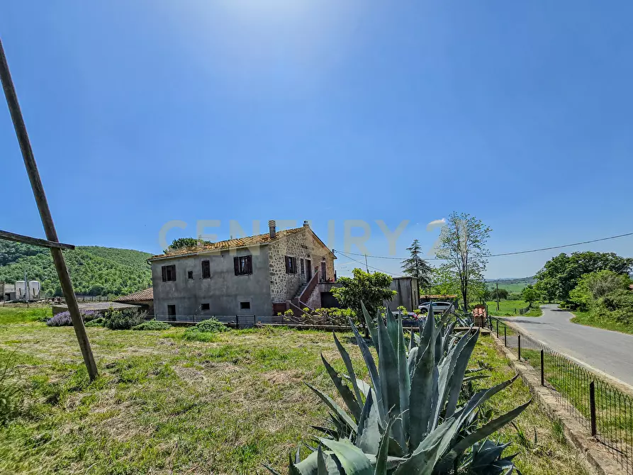 Immagine 21 di Casa indipendente in vendita  in località podere poggio sellino snc a Semproniano