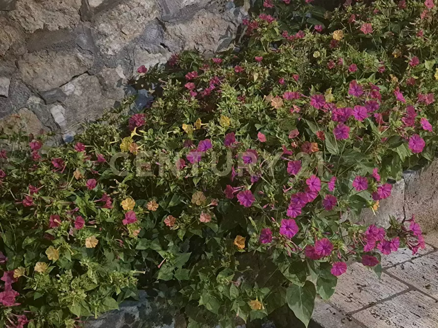 Immagine 16 di Bar / Ristorante in vendita  in Via della Società Operaia 1 a Semproniano