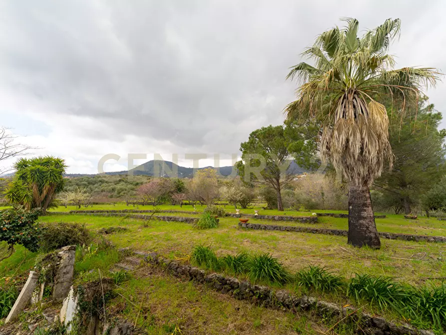 Immagine 63 di Casa indipendente in vendita  in Via Armando Diaz 83 a Zafferana Etnea