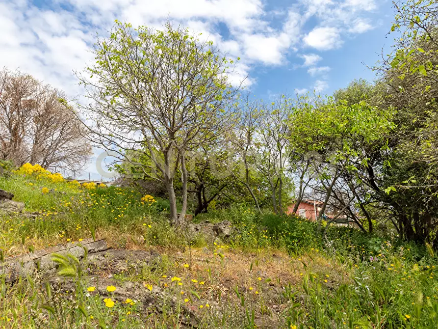 Immagine 23 di Terreno industriale in vendita  in Via dei Belfiore 4 a Valverde